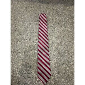 Dion Necktie Red Blue Striped Silk